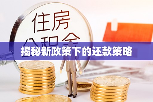 清新揭秘新政策下的还款策略