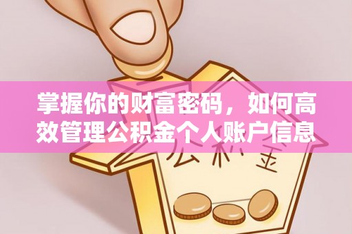 清新掌握你的财富密码，如何高效管理公积金个人账户信息