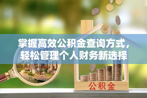 清新掌握高效公积金查询方式，轻松管理个人财务新选择