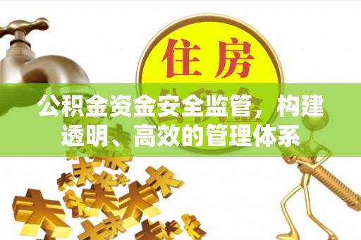 清新公积金资金安全监管，构建透明、高效的管理体系