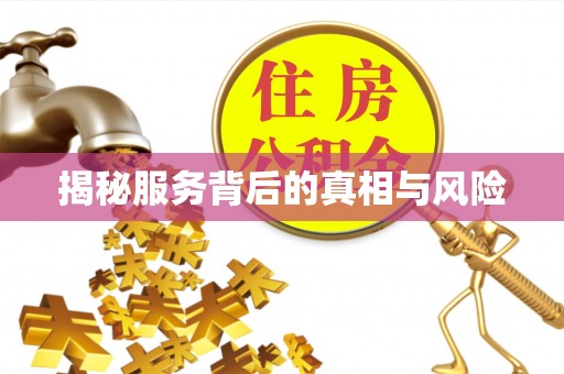 清新揭秘服务背后的真相与风险