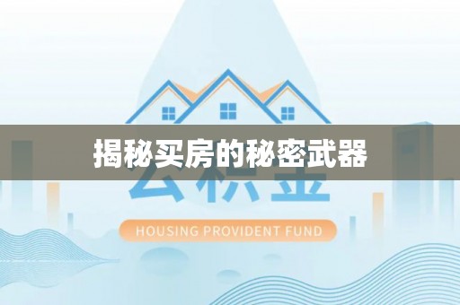清新揭秘买房的秘密武器