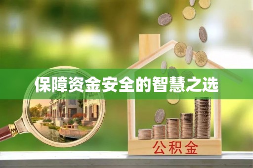 清新保障资金安全的智慧之选