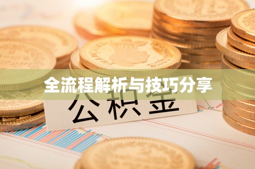 清新全流程解析与技巧分享